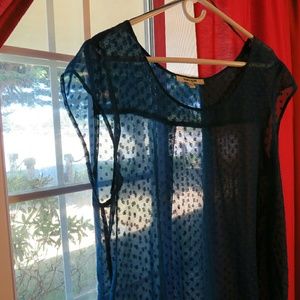 Daniel Rainn Shear Blouse XL